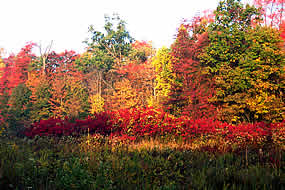 Indiana Dunes National Lakeshore